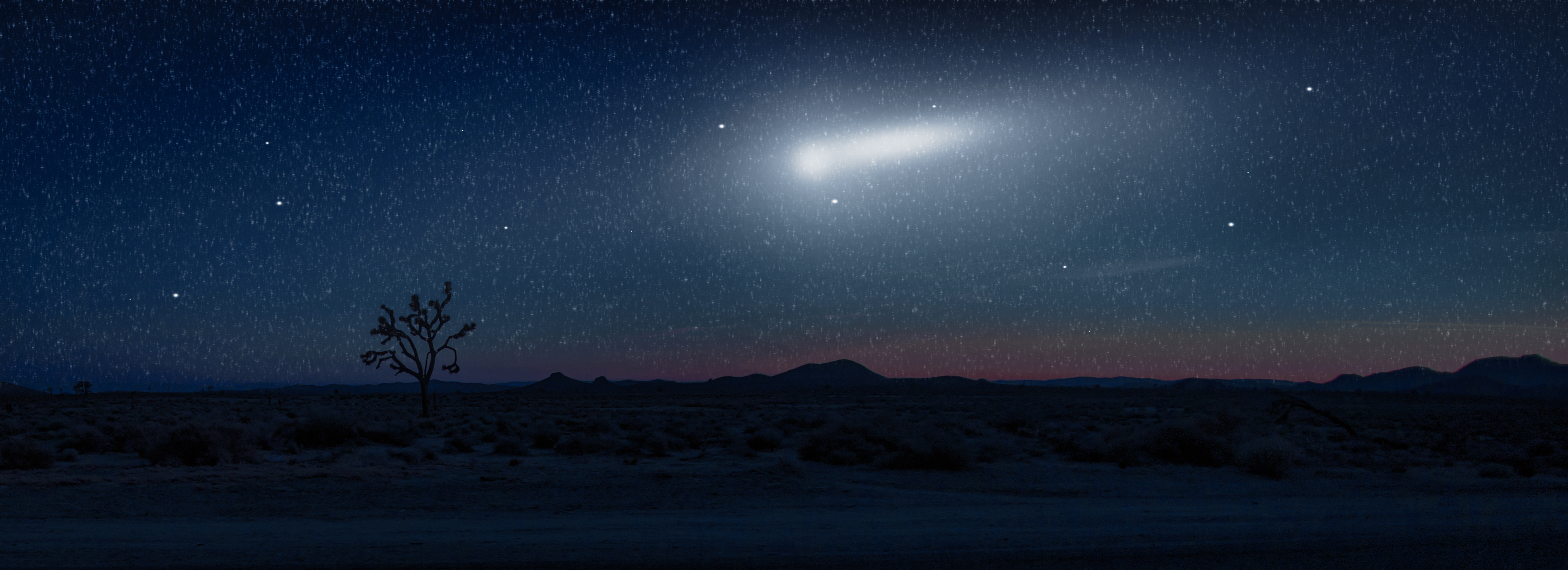 the dry desert at night with one small tree and a falling star and the moon at the sky